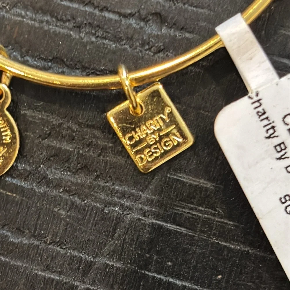 NWT Alex And Ani Red Apple Charm Bangle Bracelet Teacher Energy Adjustable​